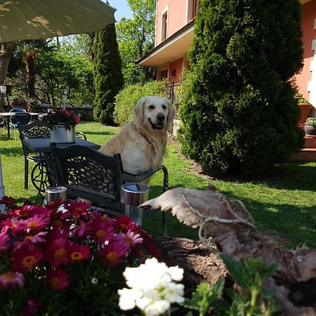 Hotel Rural El Torrejon Arenas De Cabrales Bagian luar foto