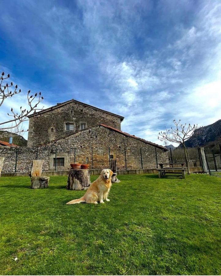 Hotel Rural El Torrejon Arenas De Cabrales Bagian luar foto