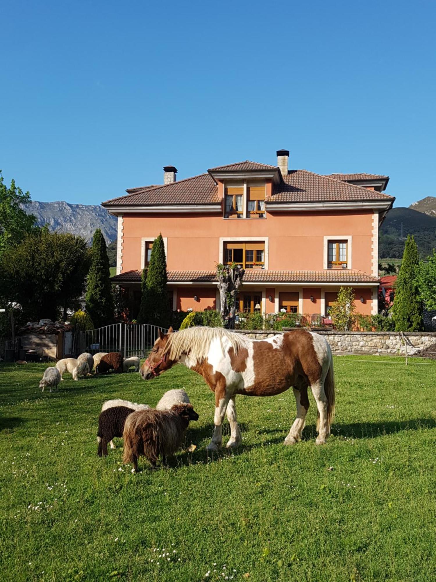 Hotel Rural El Torrejon Arenas De Cabrales Bagian luar foto